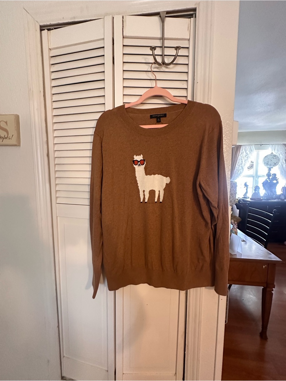 Banana Republic Brown Sweater with White Llama Accent and Red Sunglasses